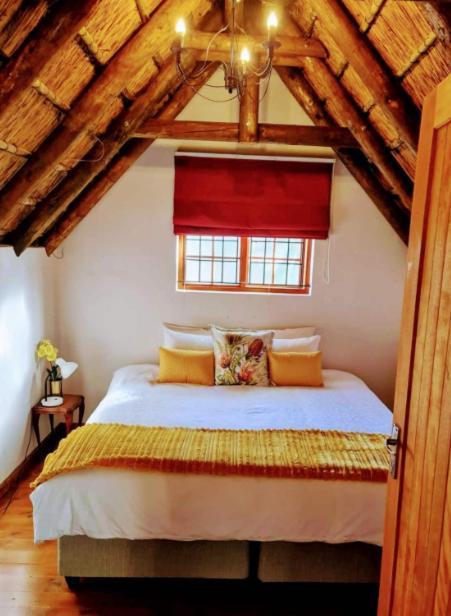 Mead, Pinelands Apartment Cape Town Ngoại thất bức ảnh